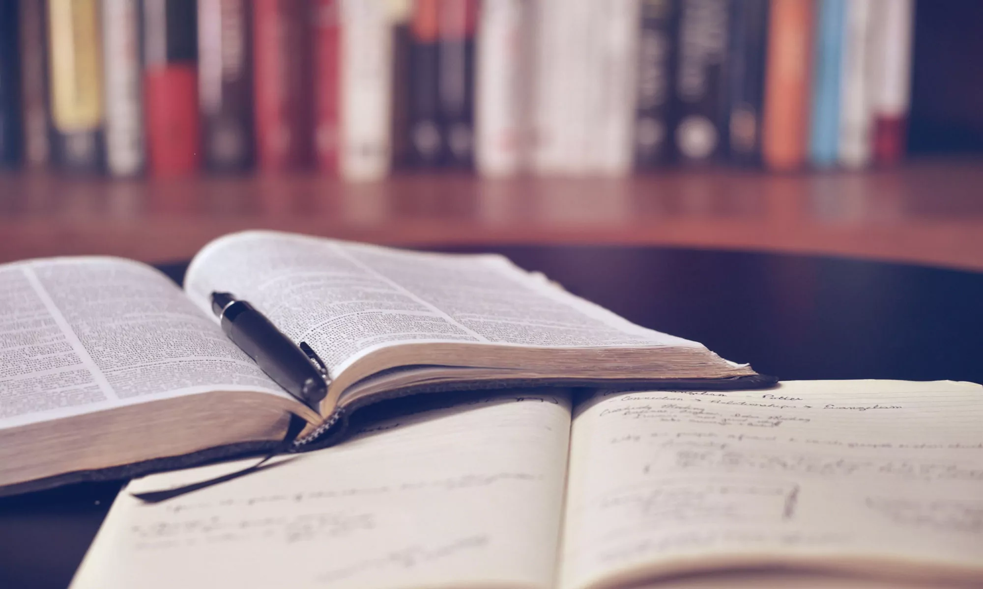 servizi di traduzione